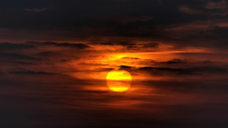 Фото: Guido Jansen / unsplash.com