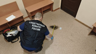 Фото: СУ СКР по Камчатскому краю 