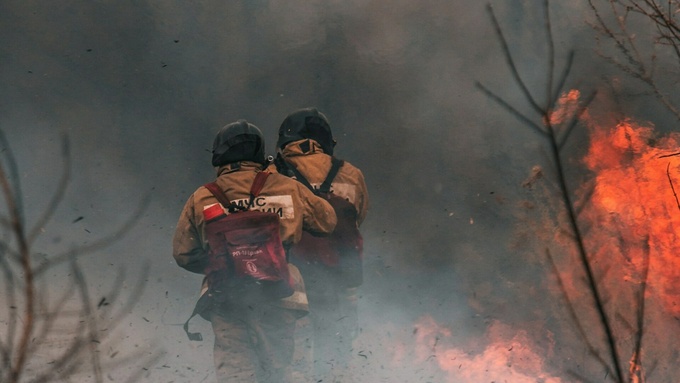 Фото: mikhail serdyukov / unsplash.com