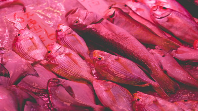 Рыба / Фото: unsplash.com / Dan Gold