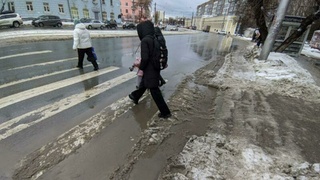 Январская оттепель в Барнауле / Фото: amic.ru / Екатерина Смолихина