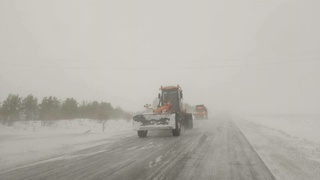 Метель на алтайской трассе /  Фото: t.me/mintrans22