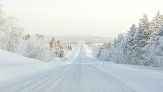 Дорога / Фото: Kristaps Grundsteins / unsplash.com