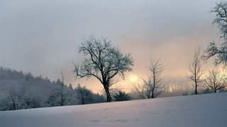 Фото: Simon Berger / unsplash.com