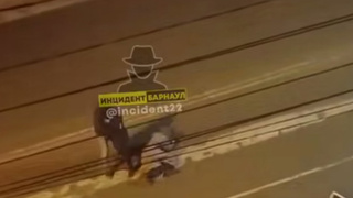 Кадр из видео / Фото: "Инцидент Барнаул"