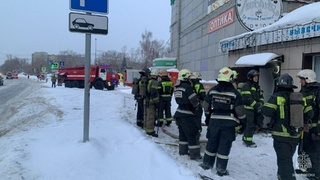 Фото: МЧС Алтайского края        