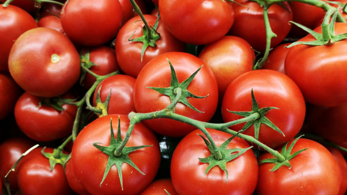 Томаты / Фото: unsplash.com / engin akyurt
