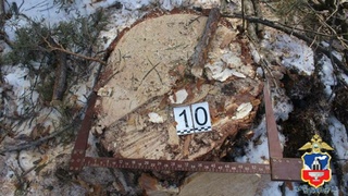 Фото: ГУ МВД по Алтайскому краю  