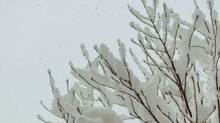 Фото: Kelly Sikkema / unsplash.com