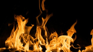 Фото: 
Guido Jansen / unsplash.com