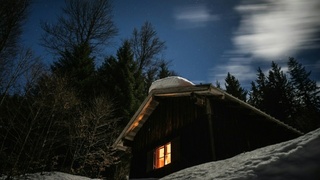 Фото: Patrick Schneider / unsplash.com