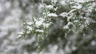 Фото: Izzy Park / unsplash.com   