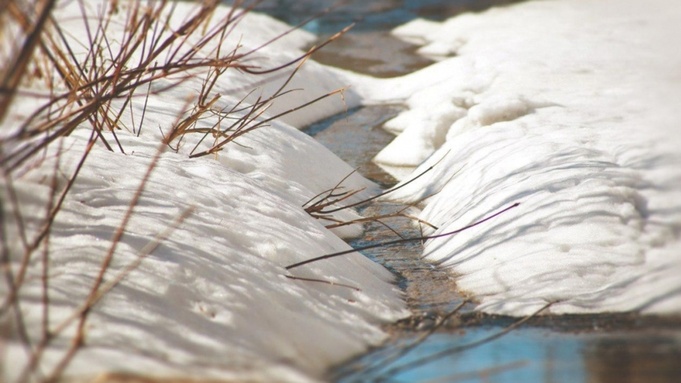 Фото: Екатерина Смолихина / amic.ru