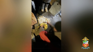 Кадр из видео: транспортная полиция Сибири / t.me/utsibfo