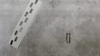 Гильза / Фото: СУ СК по Алтайскому краю