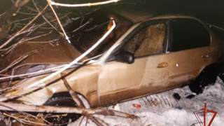 Фото: пресс-служба управления Росгвардии по Алтайскому краю