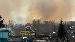 Фото: "Инцидент Барнаул" / t.me/incident22