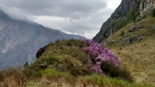 Горный Алтай / Фото: ПАО 