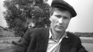 Василий Шукшин / Фото: кадр из фильма "Когда деревья были большими"