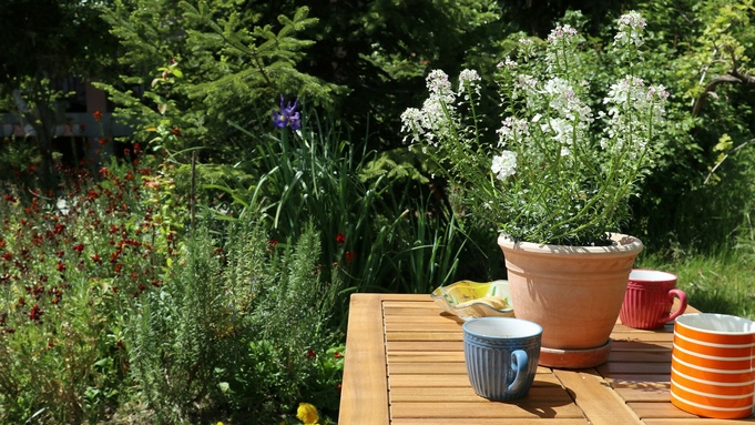 Фото: Kiriakos Verros / unsplash.com