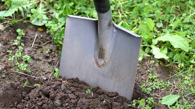 Фото: Andres Siimon / unsplash.com