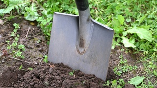 Фото: Andres Siimon / unsplash.com