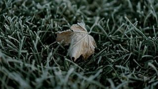 Фото: Keagan Henman / unsplash.com