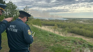 Пожар в окрестностях Барнаула / Фото: МЧС Алтайского края