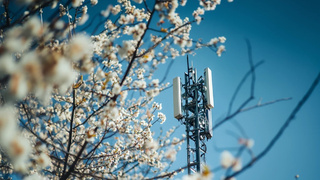 Базовая станция оператора / Фото: T2