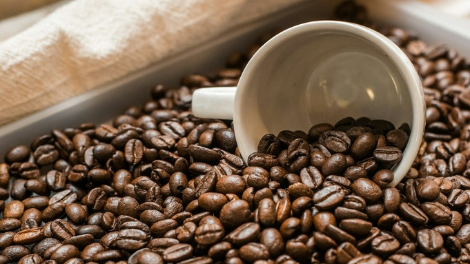 Фото: pariwat pannium / unsplash.com