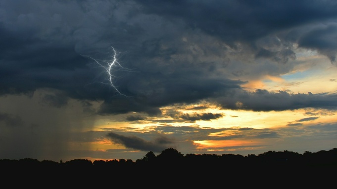 Фото: Lewis Meyers / unsplash.com