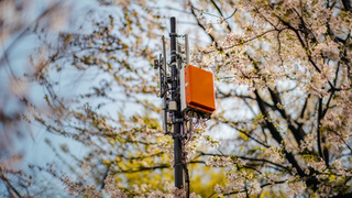 Базовая станция / Фото: пресс-служба T2