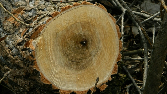 Фото: 
Portia Weiss / unsplash.com