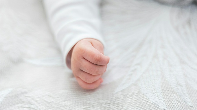 Фото: Ricardo Moura / unsplash.com