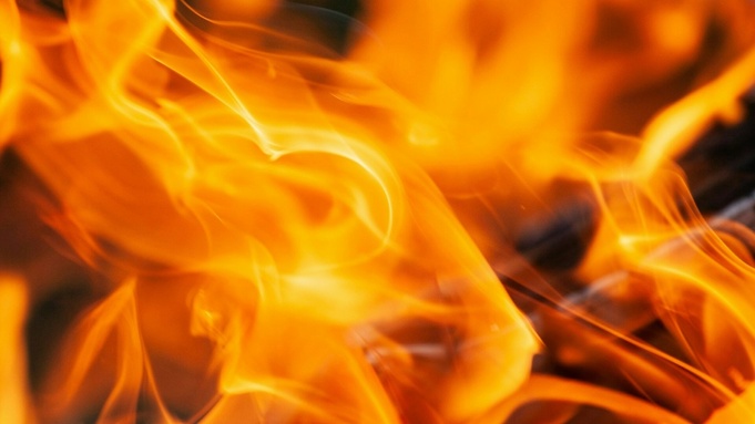 Фото: Maxim Tajer / unsplash.com
