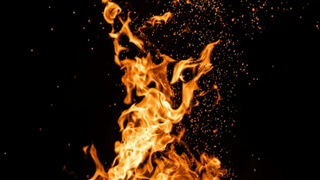 Фото: Tobias Rademacher / unsplash.com
