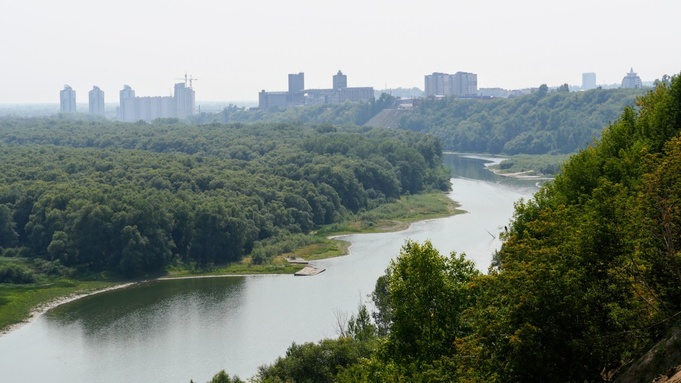 Зеленый и красивый Барнаул летом 