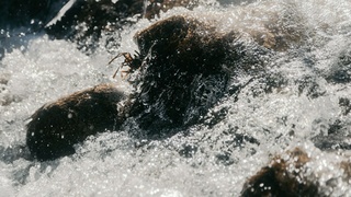 Фото: Jakob Owens / unsplash.com 