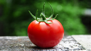 Помидор / Фото: unsplash.com / Go to Avin CP's profile
Avin CP