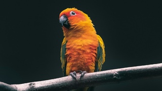 Фото: 
Kevin Mueller / unsplash.com