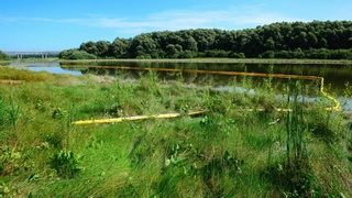 Территория рядом с Барнаульской нефтебазой / Фото: Анна Зайкова