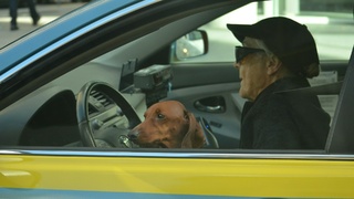 Фото: Ramiro Pianarosa / unsplash.com