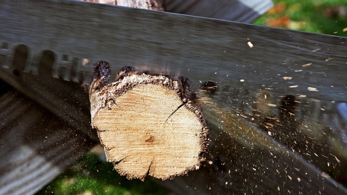 Фото: John Cardamone / unsplash.com
