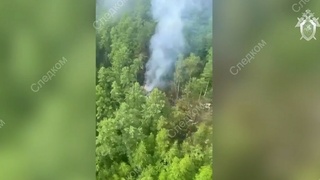 Место крушения Ан-24 / Фото: кадр из видео СК России