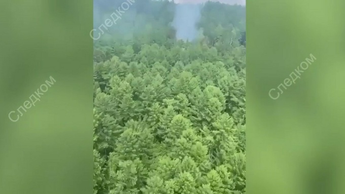 Место крушения Ан-24 / Фото: кадр из видео СК России