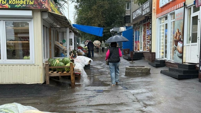 Рынок на улице Северо-Западной в Барнауле / Фото: пресс-служба ЛДПР 