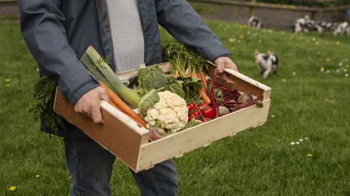 Фермер. Овощи / Фото: ru.freepik.com