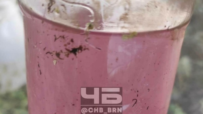 Вода из реки / Фото: Telegram-канал "Черное и Белое Барнаул"