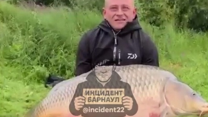 Огромный карп / Фото: скриншот из видео 