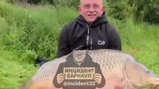 Огромный карп / Фото: скриншот из видео "Инцидент Барнаул"